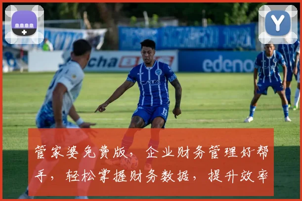 管家婆免费版，企业财务管理好帮手，轻松掌握财务数据，提升效率，免费试用