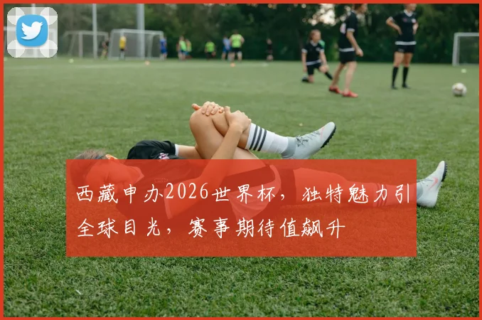 西藏申办2026世界杯，独特魅力引全球目光，赛事期待值飙升