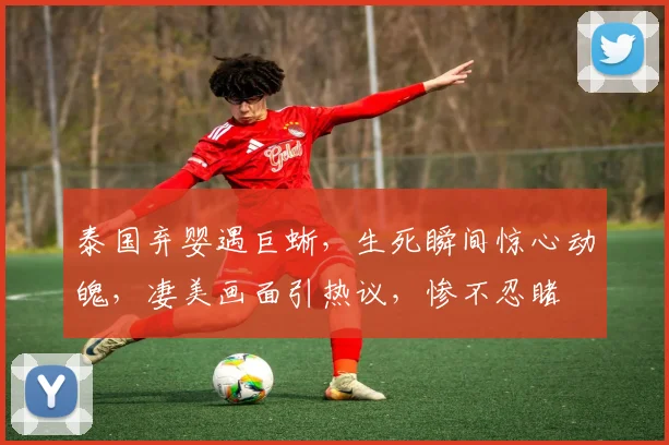 泰国弃婴遇巨蜥，生死瞬间惊心动魄，凄美画面引热议，惨不忍睹